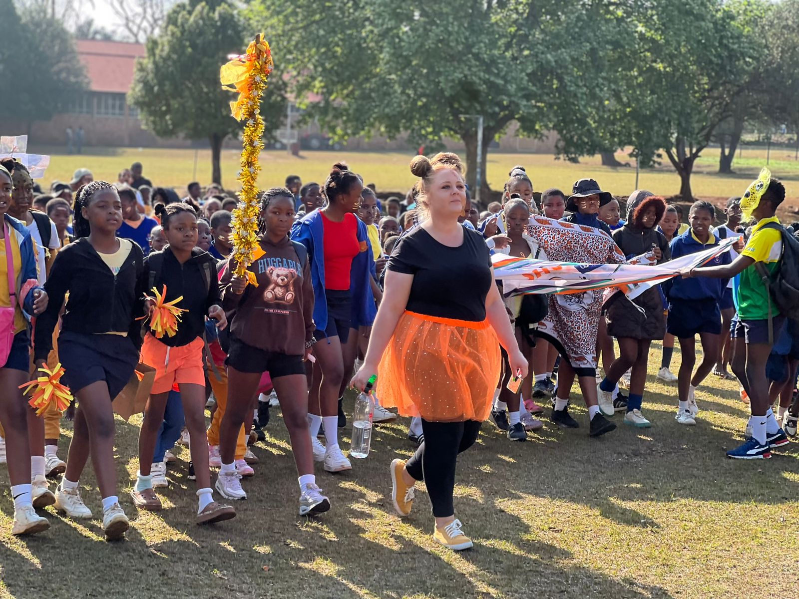 Cheetahs preview (2nd)